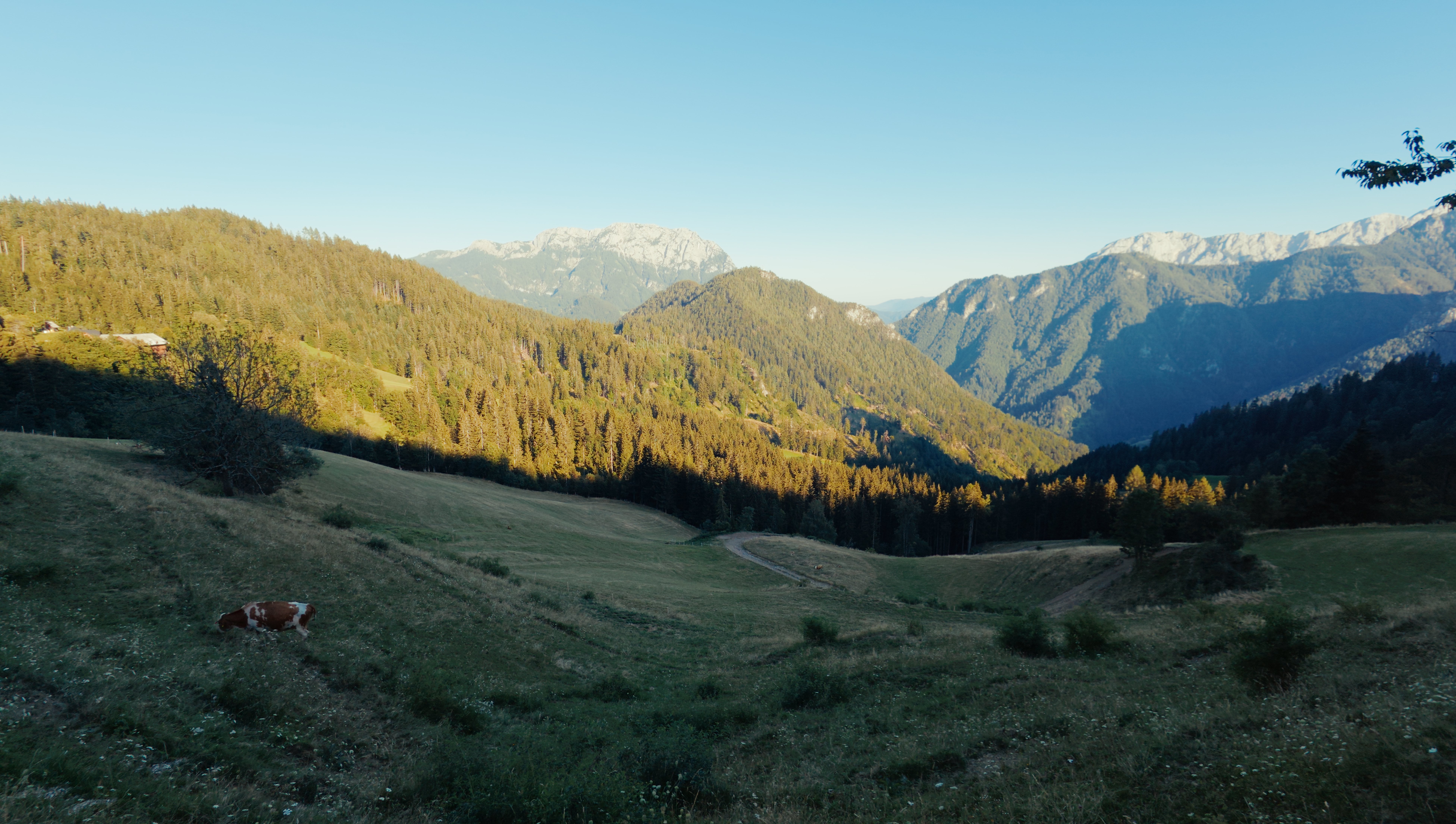 Winding mountain road through the Slovenian Alps